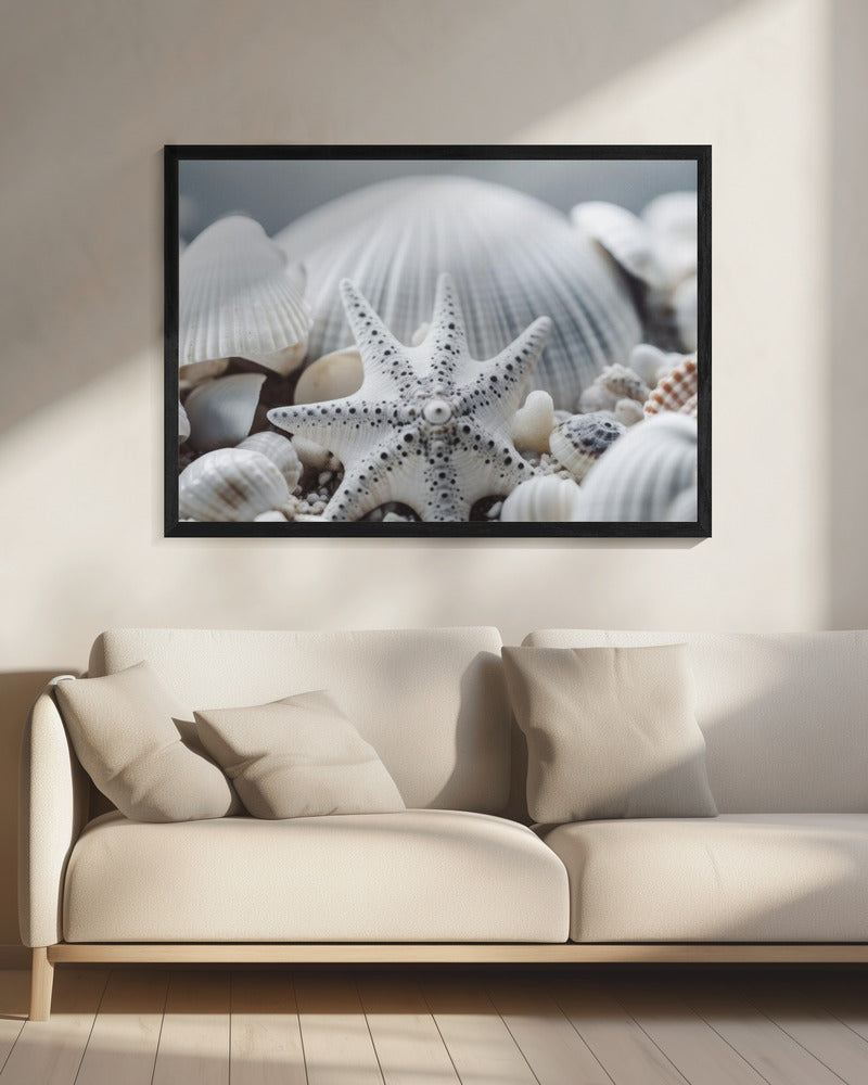 Muschelsymphonie | Leinwand