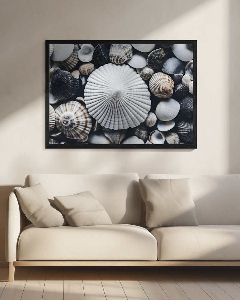 Muschelsymphonie | Leinwand