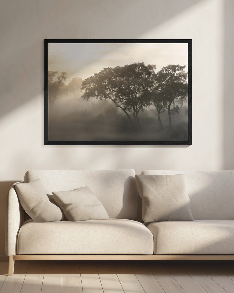 SAVANA SONNENAUFGANG | Leinwand
