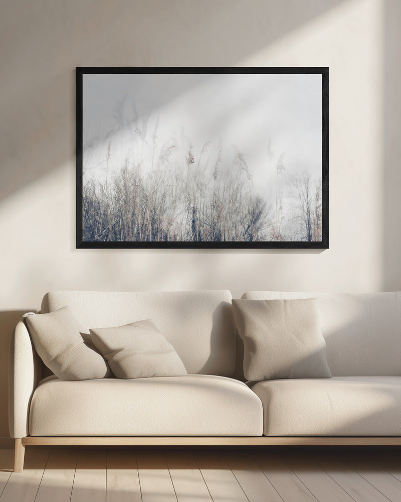 Landschaft aus Schilf und Gras | Leinwand
