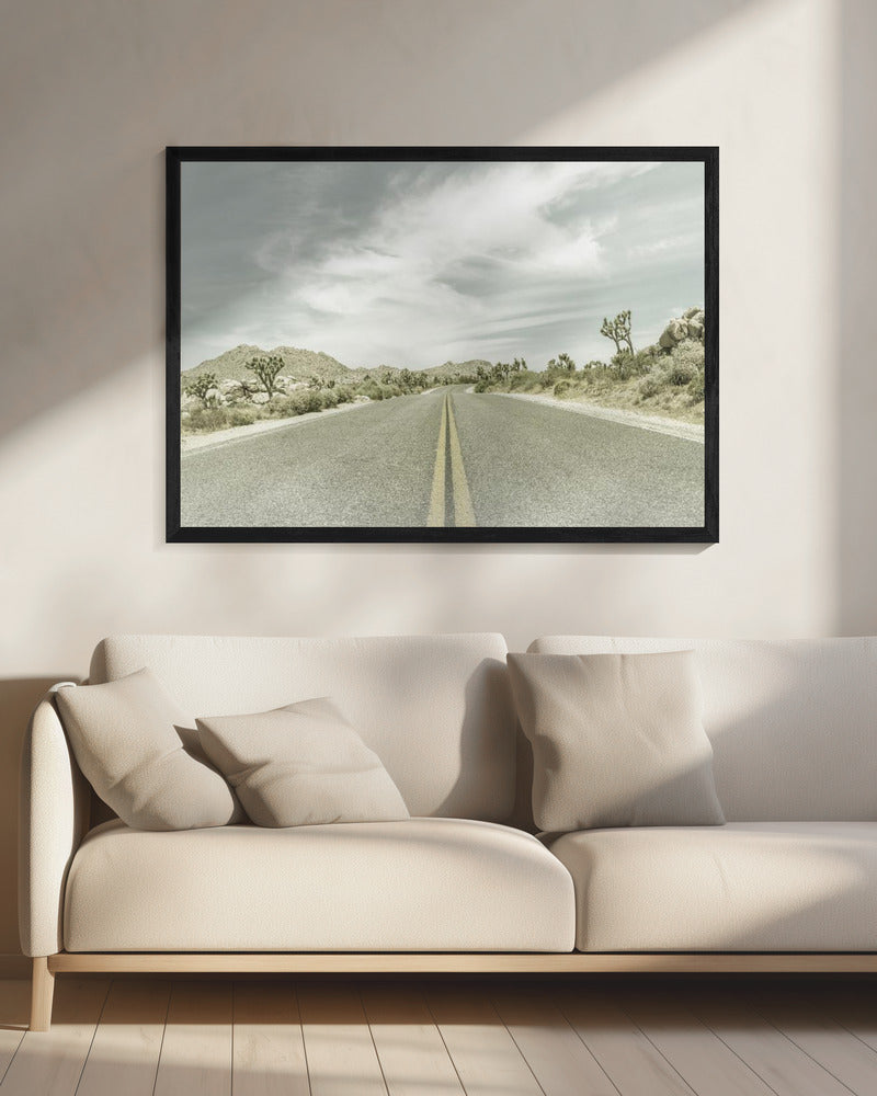 Vintage Joshua Trees, Park Boulevard | Leinwand