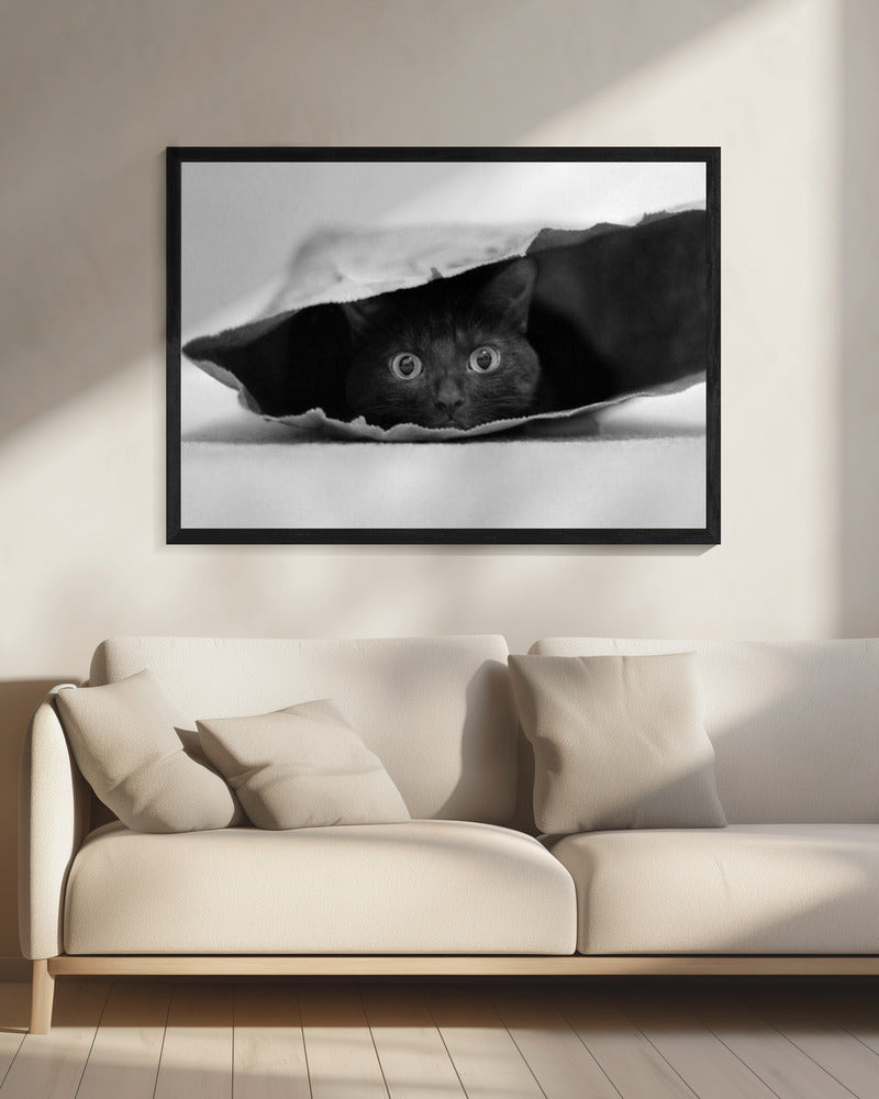 Katze im Sack | Leinwand