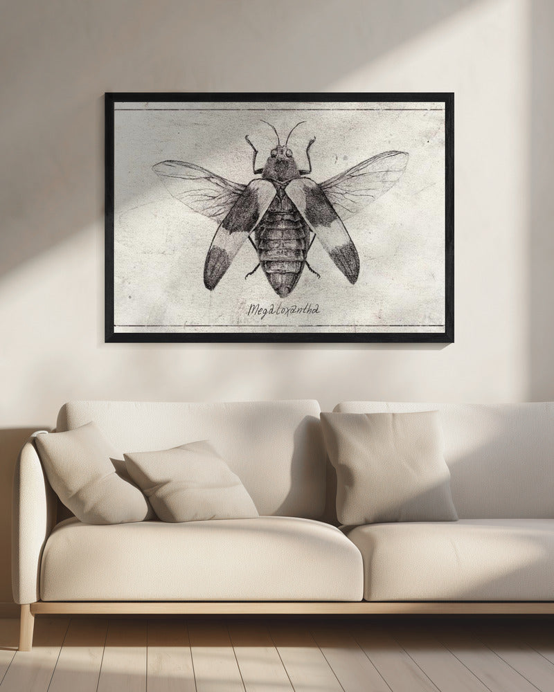Komplexe Insektenskizze | Leinwand