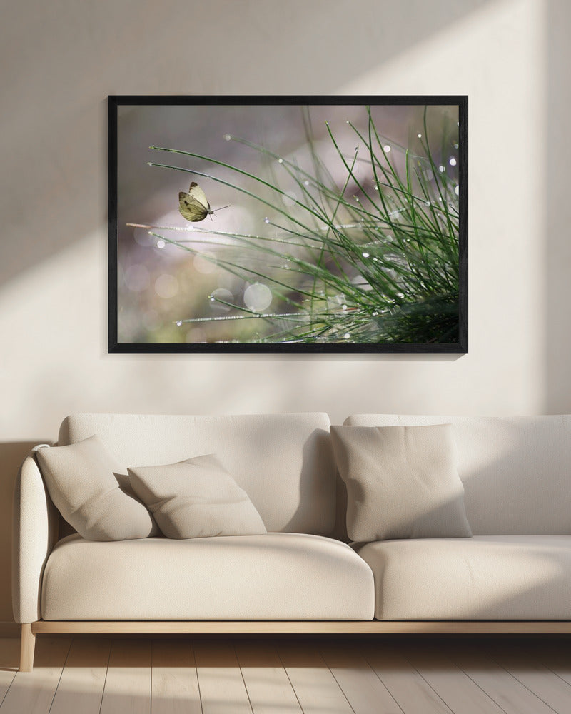 Bevorstehende Landung | Leinwand