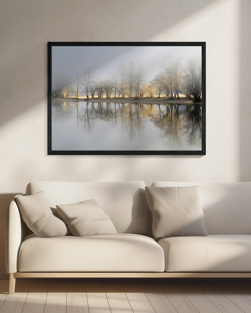 january morning | Canvas