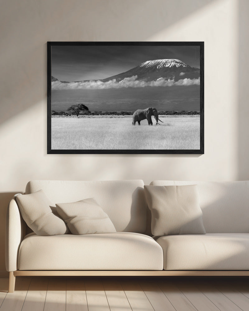Verlorene Farben II | Leinwand