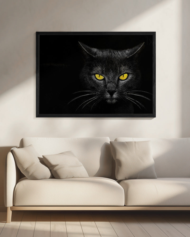 Schwarze Katze | Leinwand