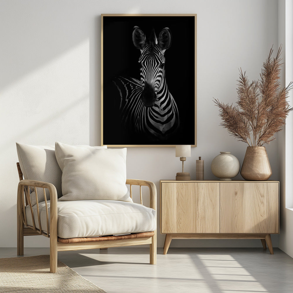 Das Zebra | Poster