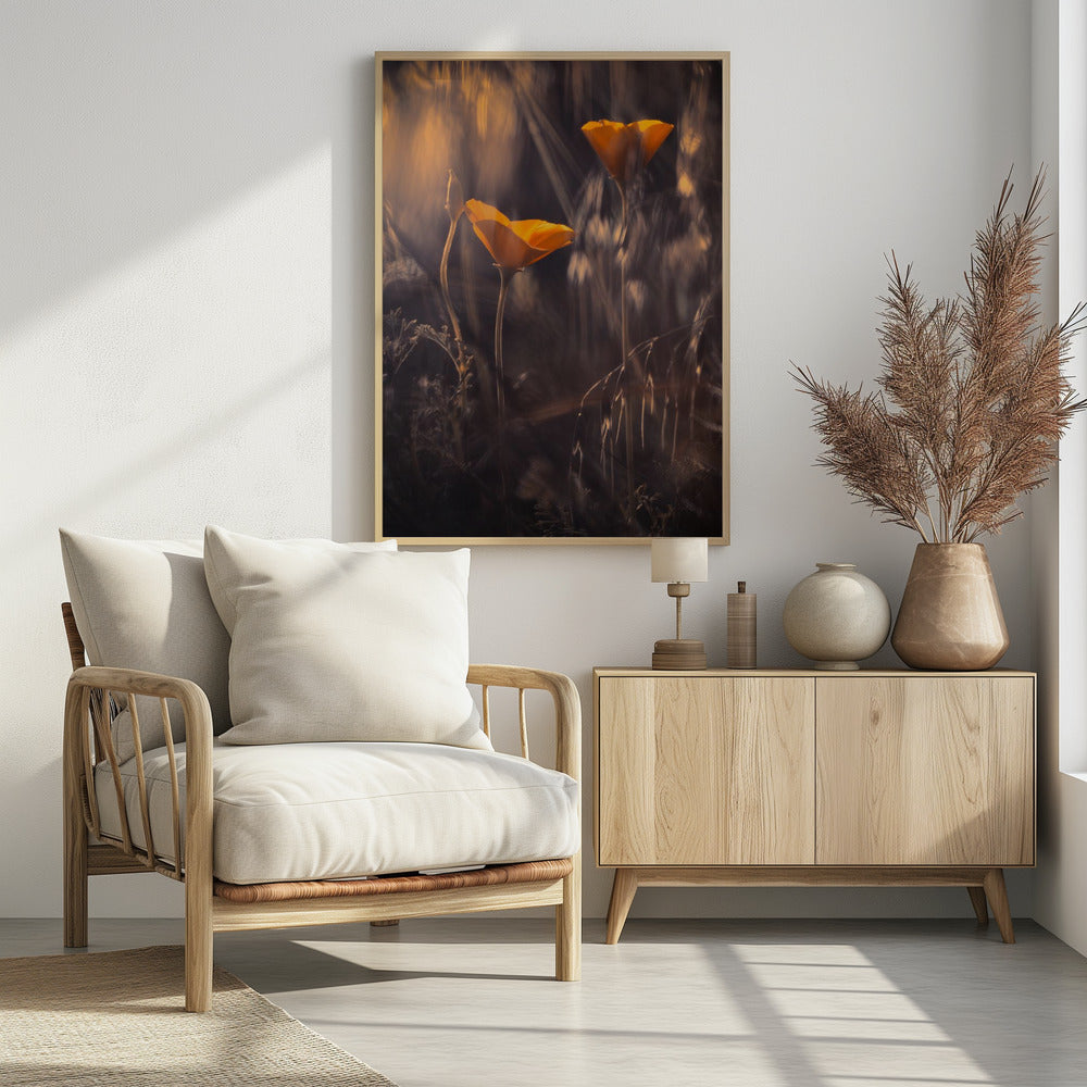 From The Enchanted Secret Garden | Poster