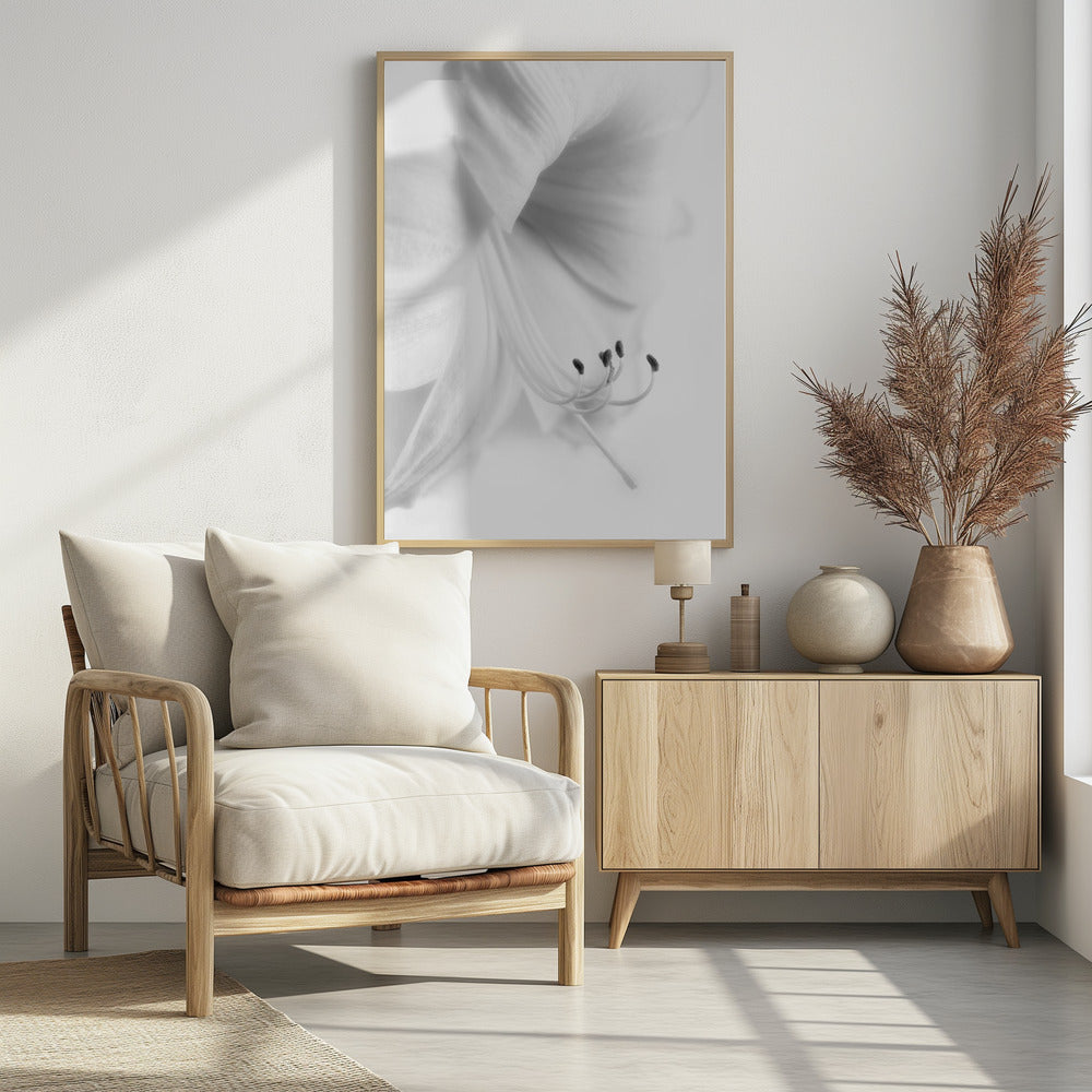 Weiß auf Weiß | Poster