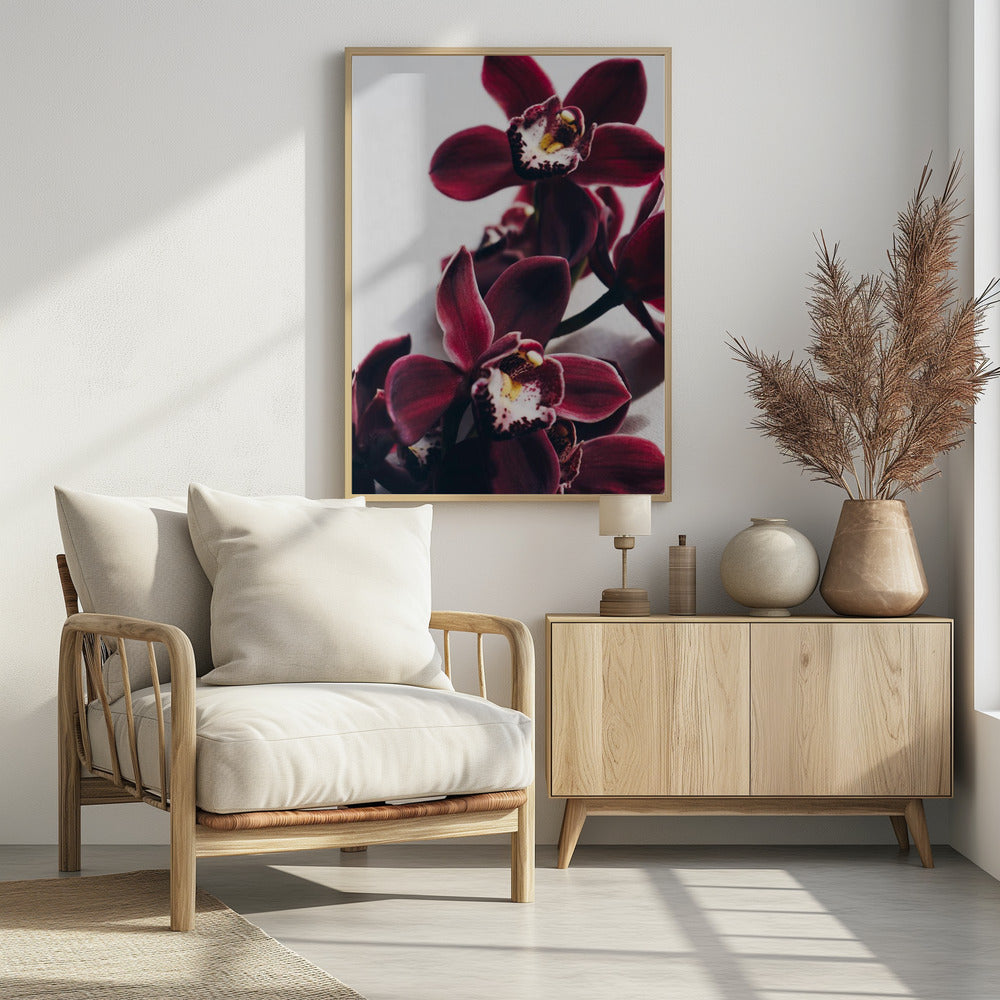 Samt-Orchidee-Dämmerung | Poster