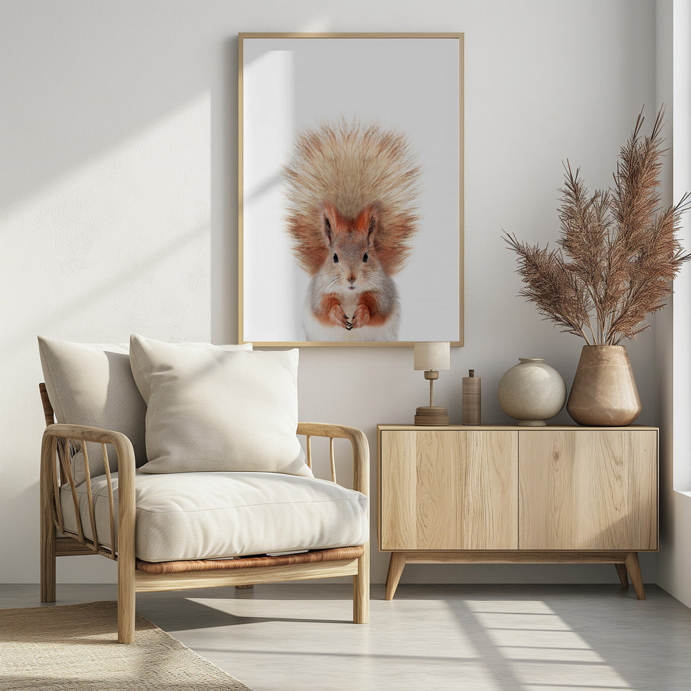 Baby-Eichhörnchen | Poster