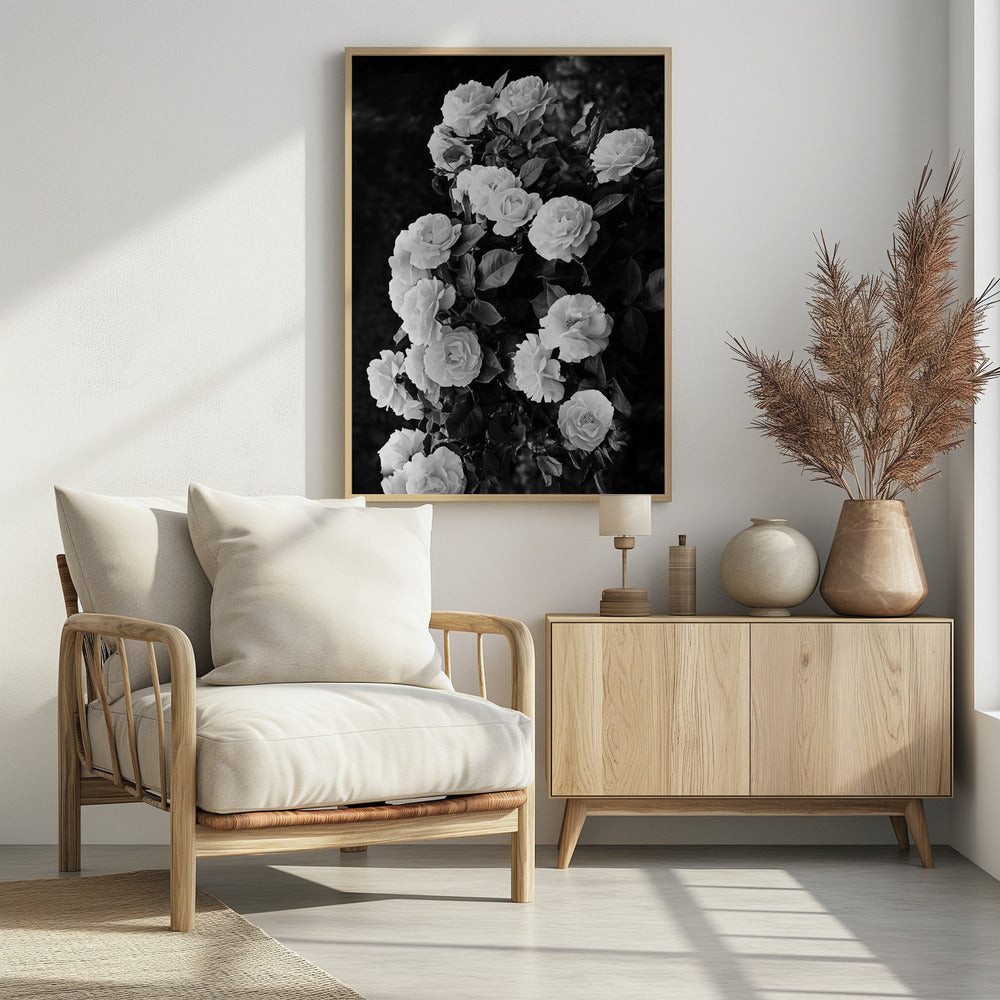 Rosenbusch | Poster