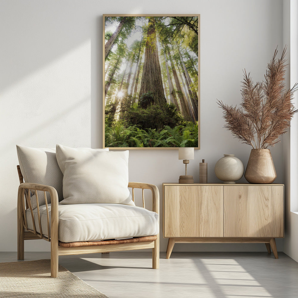 Schöner Wald | Poster