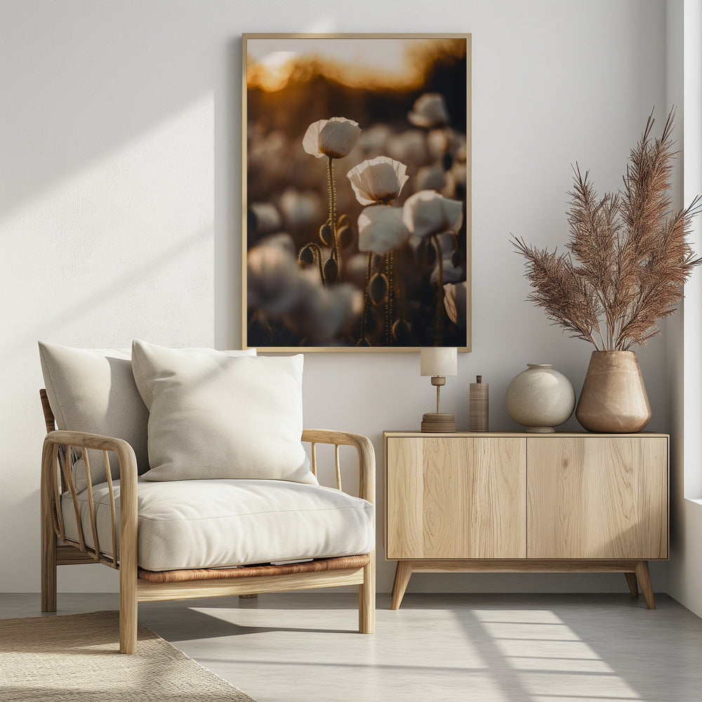 Goldene blühende Morgendämmerung | Poster