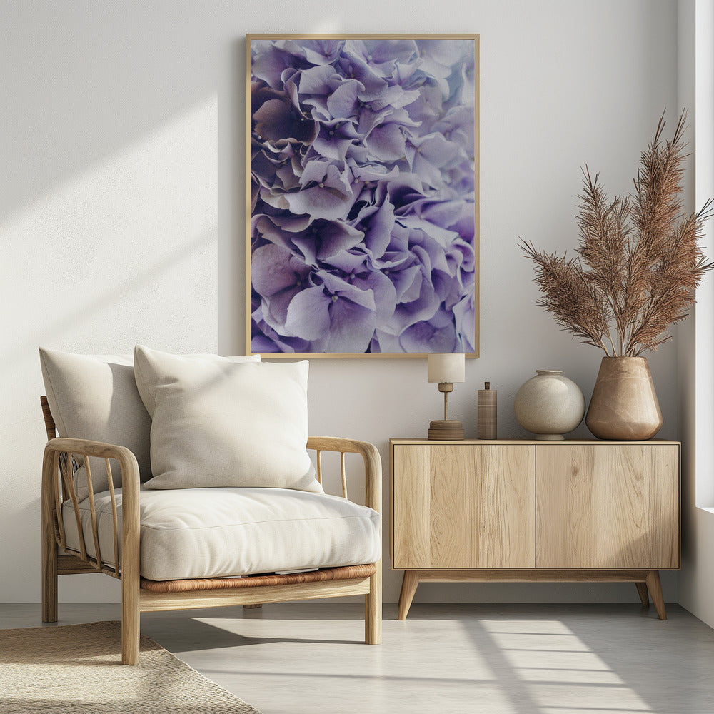 Vibrant Purple Hydrangea Flowers | Poster