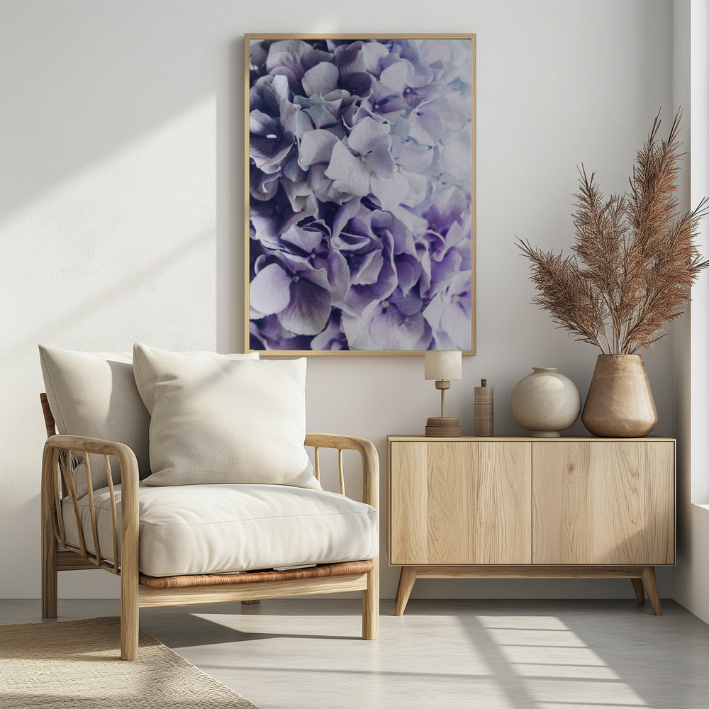 Vibrant Purple Hydrangea Flowers | Poster