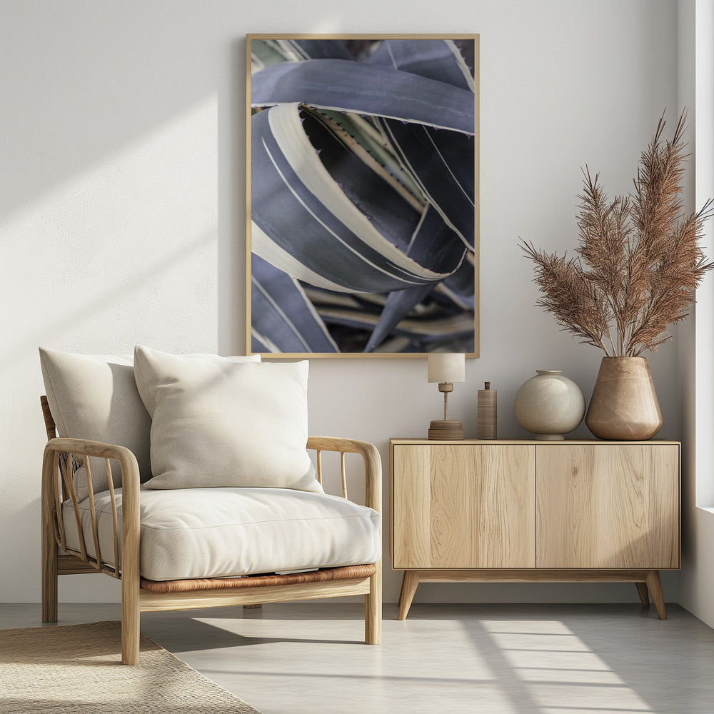 Agave Whorls | Poster