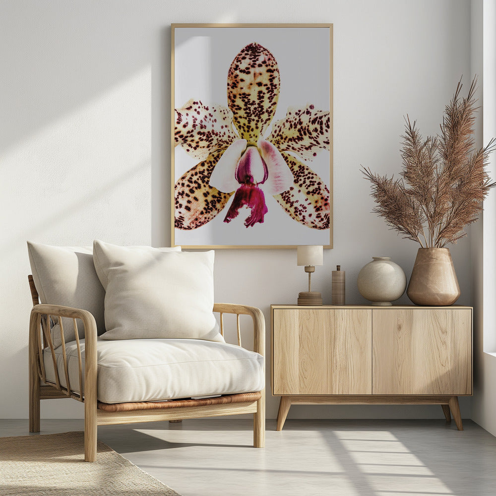 Spotted Orchid Burst | Poster