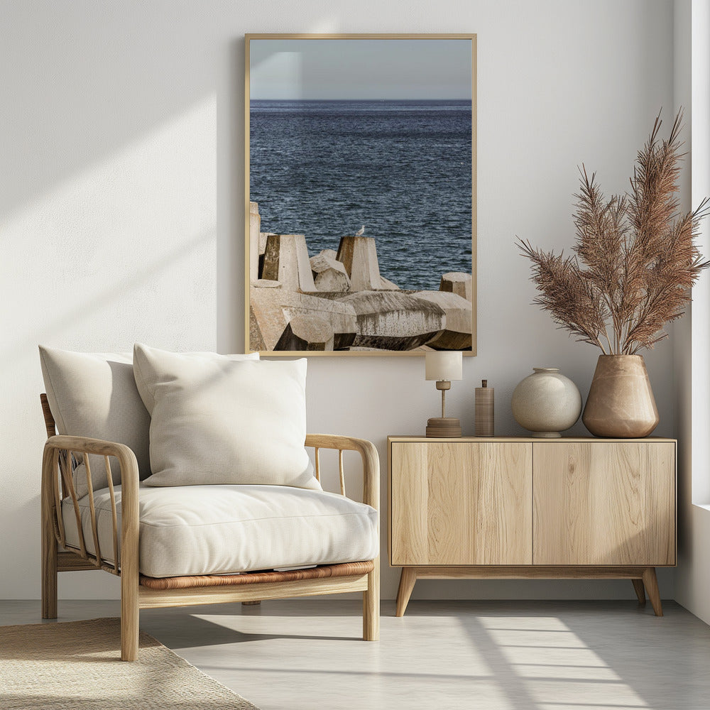 Möwe am Meer | Poster