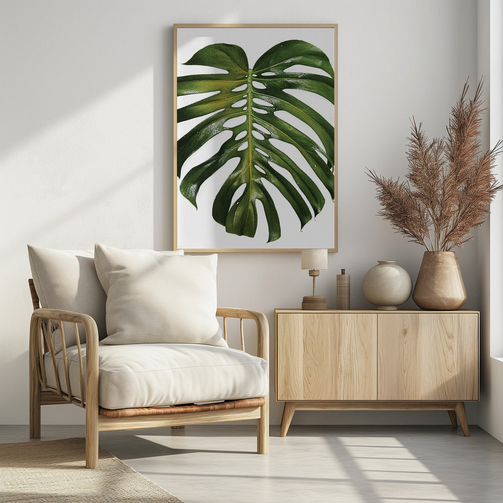 Grünes Monstera-Blatt | Poster