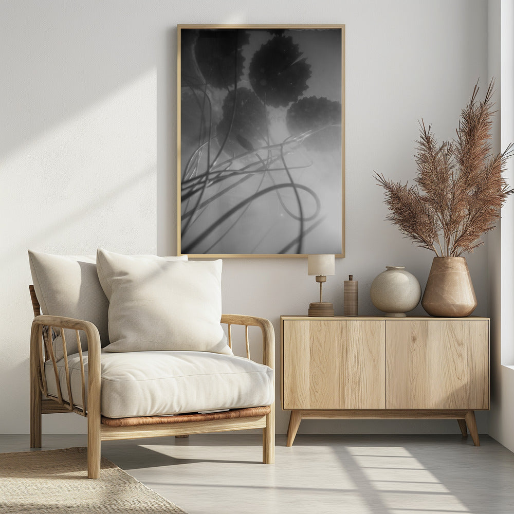 Seerose | Poster