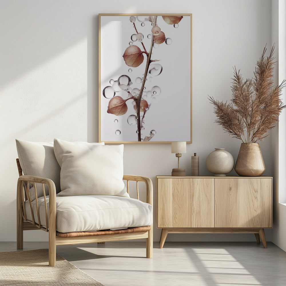 Bubbles and Blooms | Poster