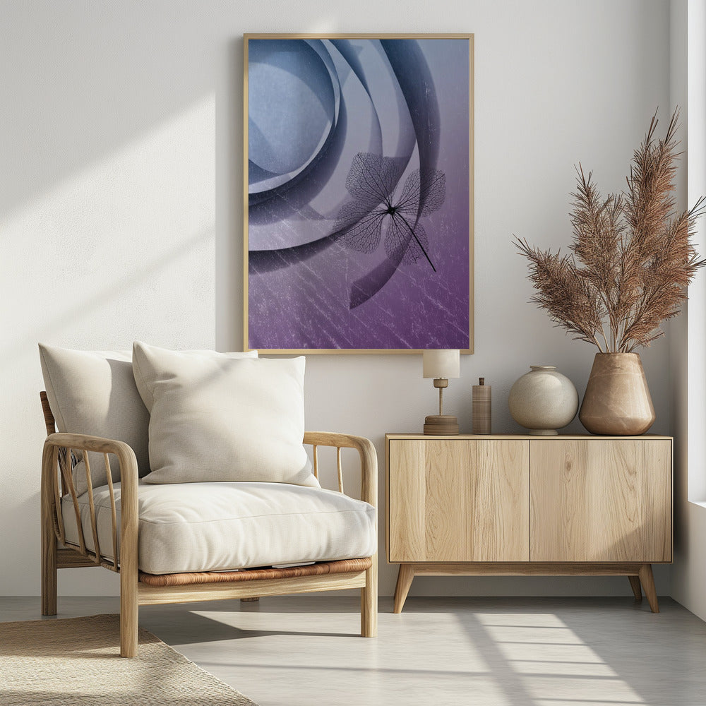Hortensie | Poster