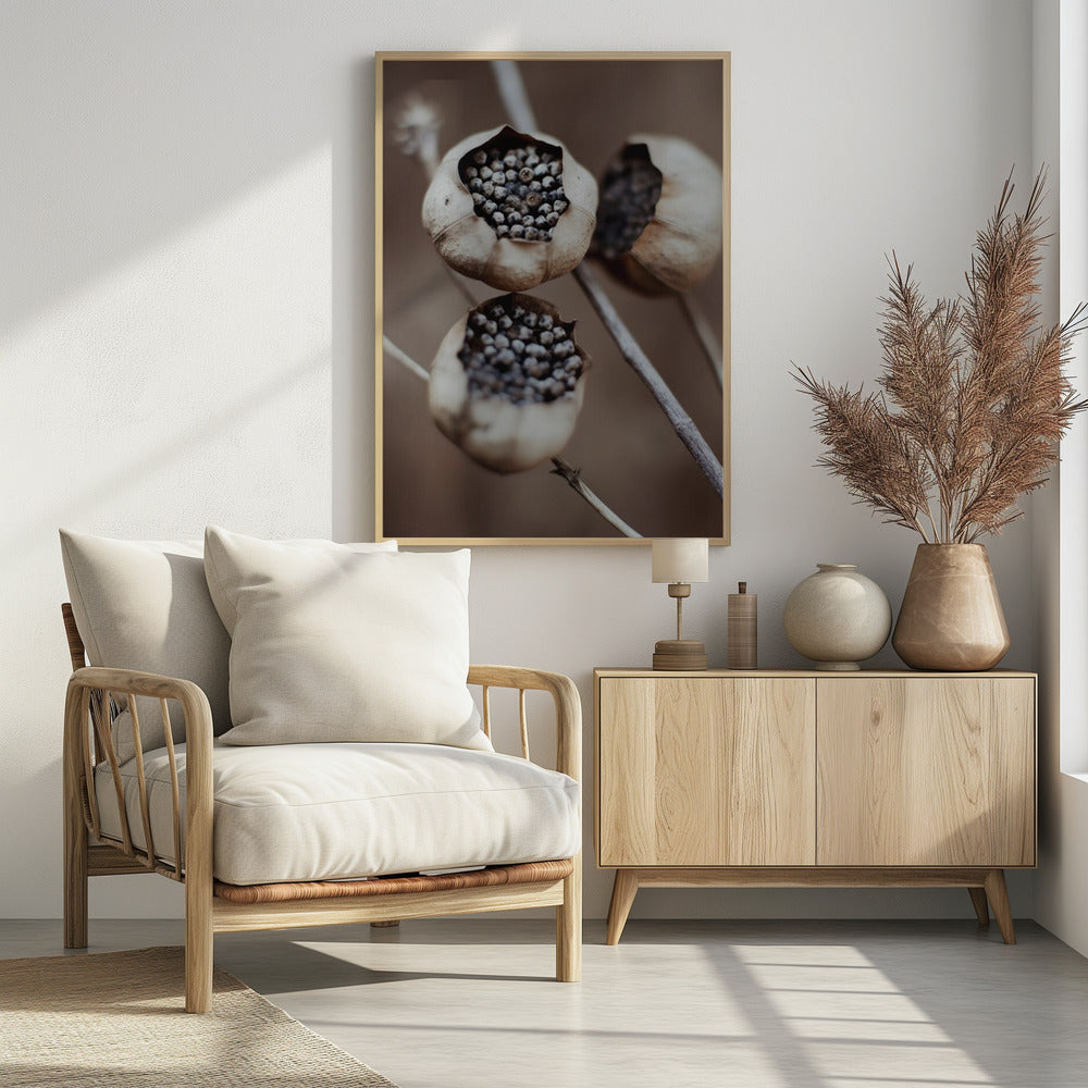 Kapseln der Natur | Poster