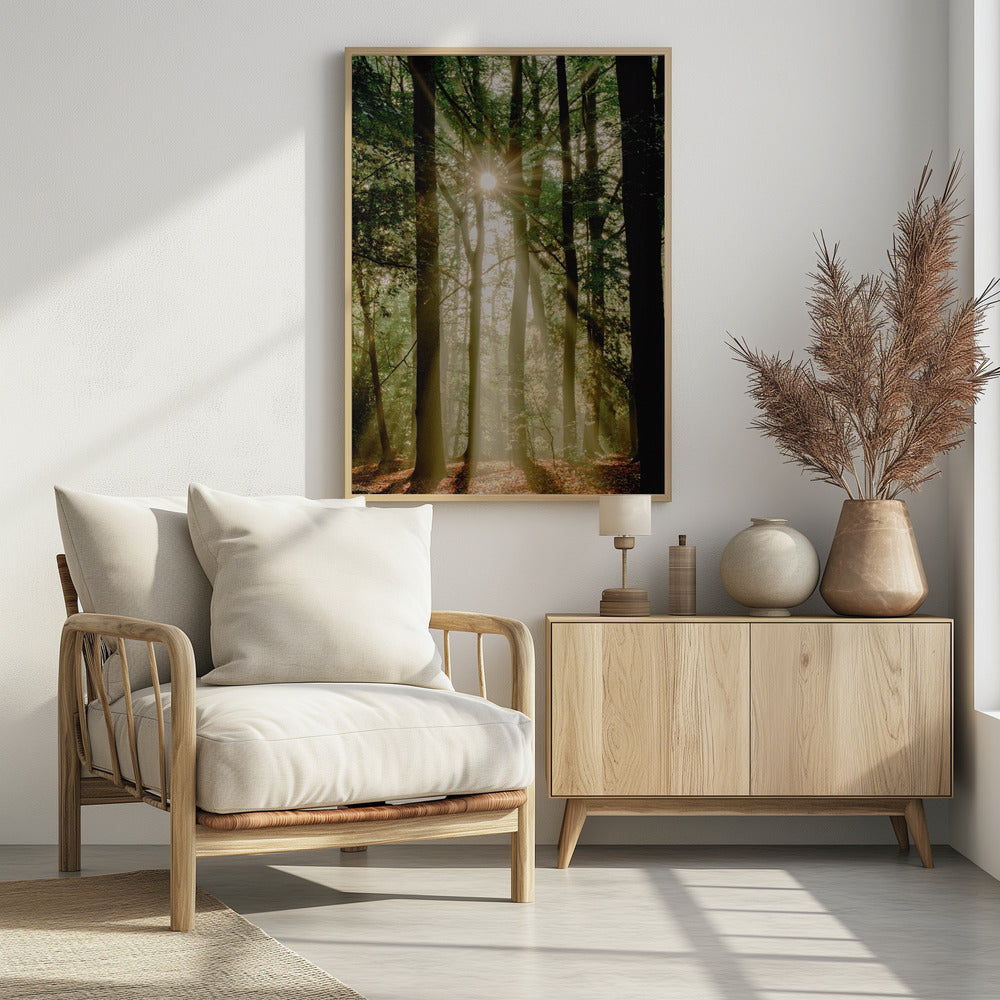 Sonnenstrahlen durch den Wald | Poster