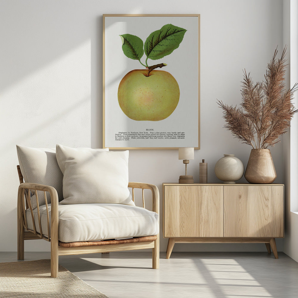 Mann Apple Lithographie | Poster