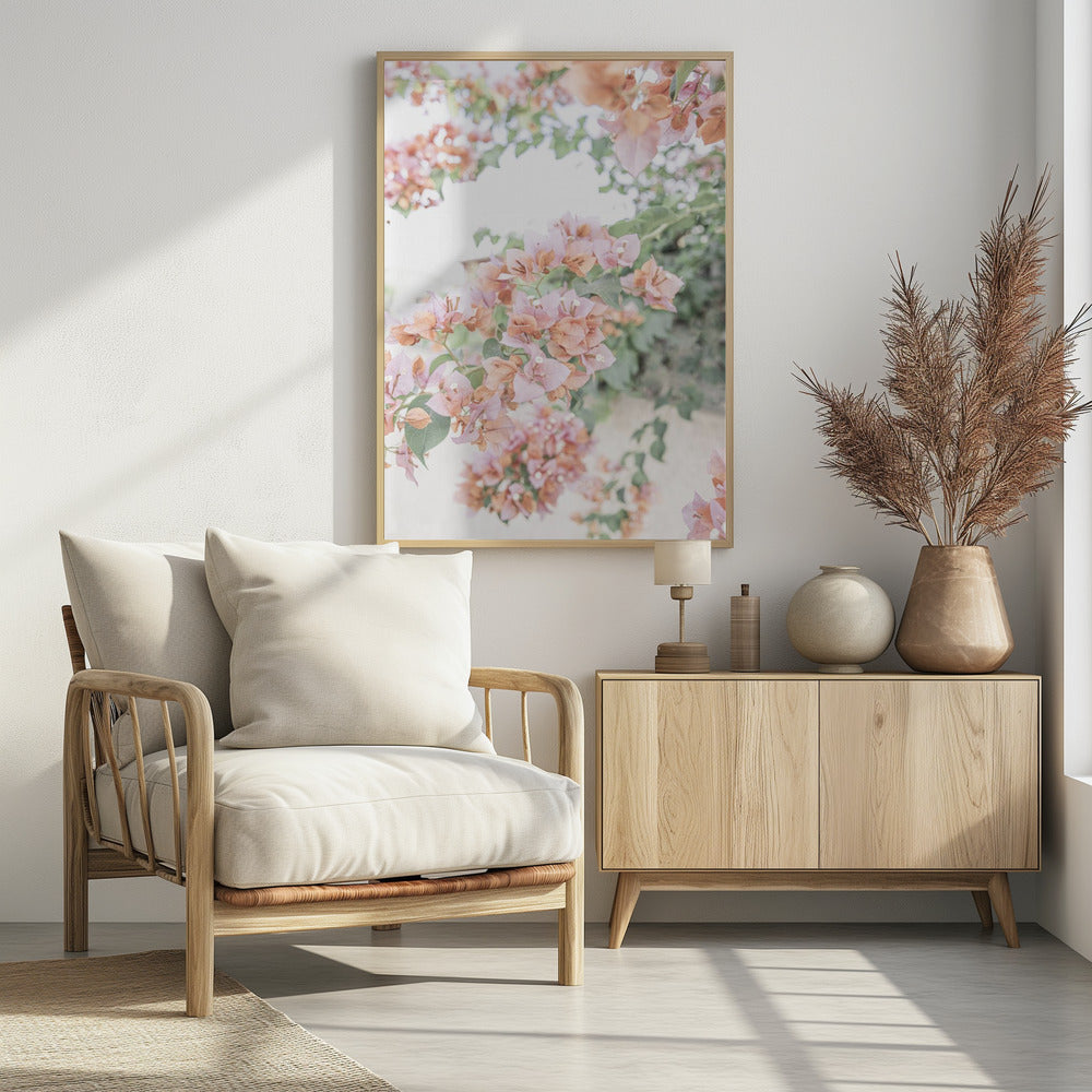 Peach Bougainvillea | Poster