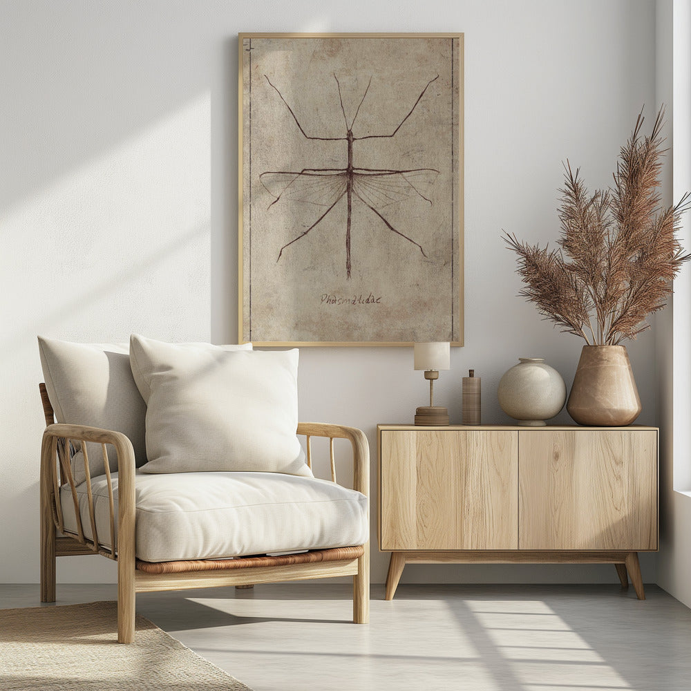 Vintage Entomologie Skizze | Poster