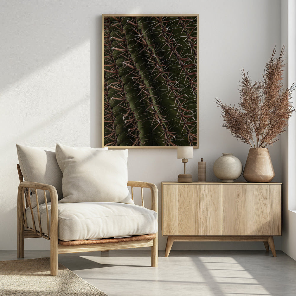 Cactus Showcases | Poster