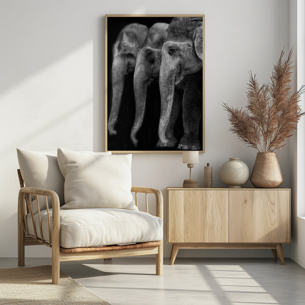 Das große Meisterwerk der Natur, ein Elefant; das einzig harmlose große Ding ... | Poster