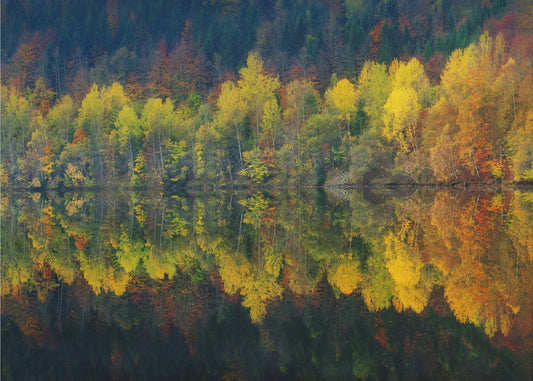 Herbstliche Stille | Leinwand
