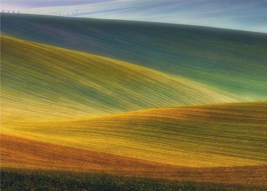 Spring fields | Canvas