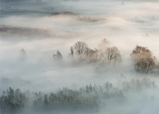Winter fog | Poster