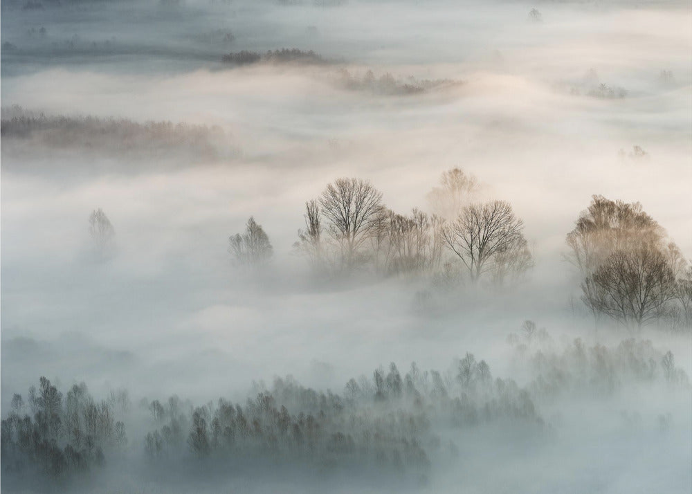 Winternebel | Tapete