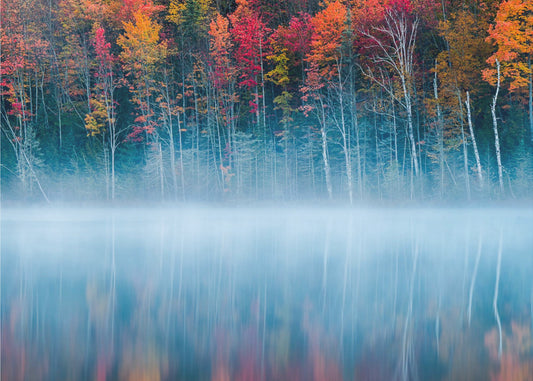 Morning Reflection | Canvas