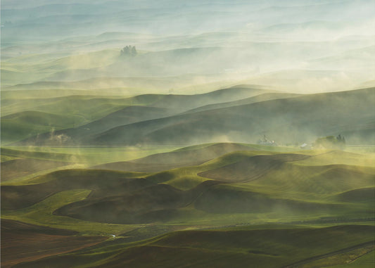 Golden Morning-Palouse | Leinwand