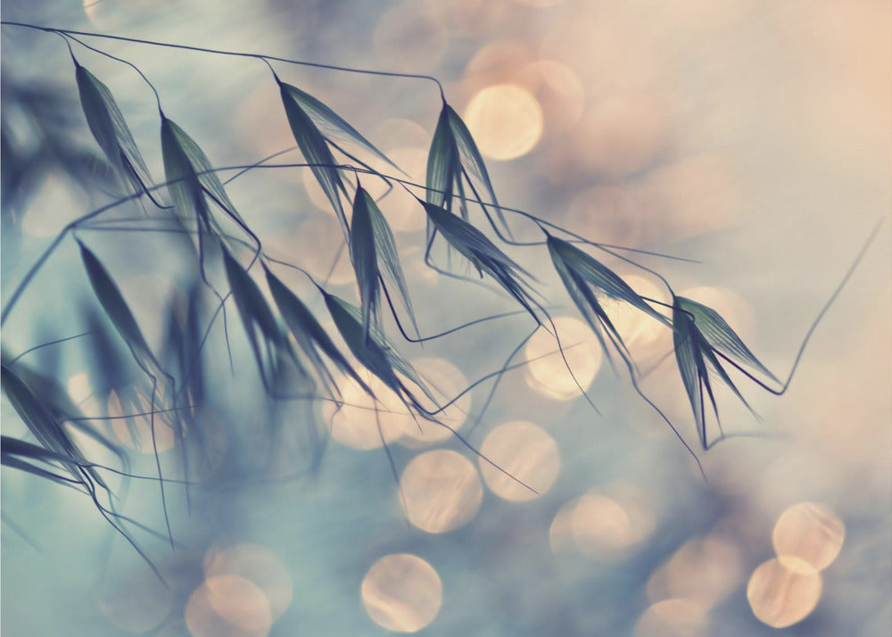 ...&lt;&lt;&lt; | Hintergrund