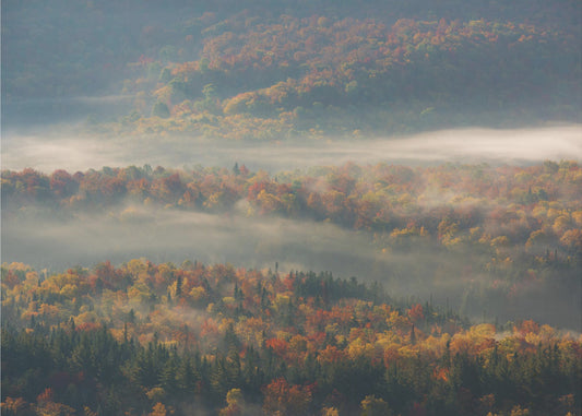 Nebliger Morgen | Leinwand