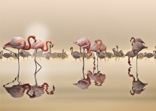 FLAMINGOS | Leinwand