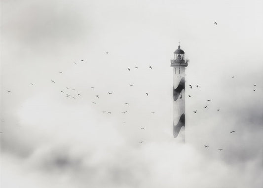 the fog | Poster
