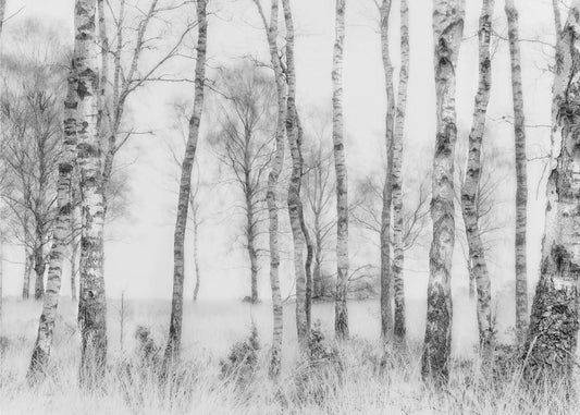 Black and white | Poster