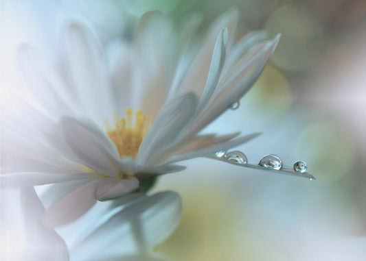 Light touch... | Poster