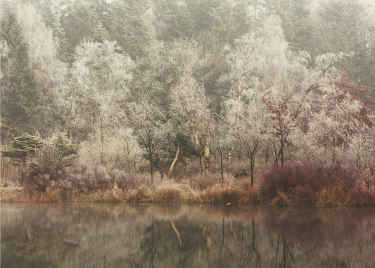 Frozen | Canvas