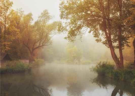Nebliger Herbst | Poster