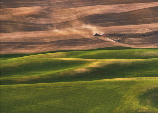 Farmland | Canvas